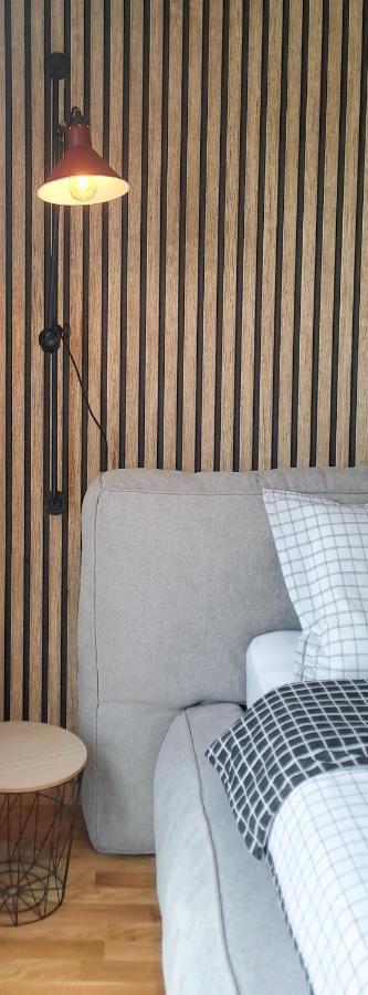 Stylish One Bedroom Apartment Podgorica Bagian luar foto